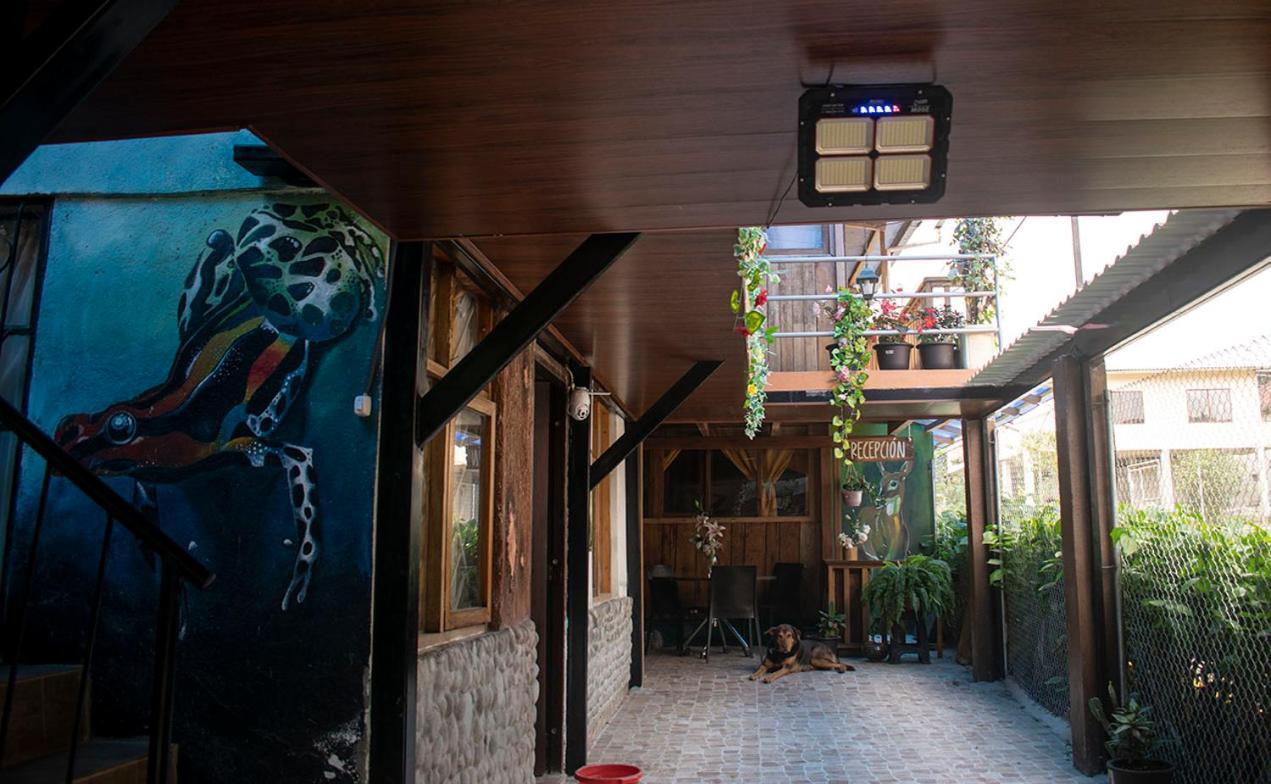 Hostal Los Farolitos Mindo Exteriör bild